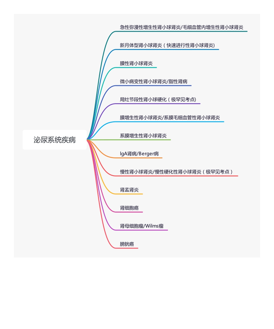 【221223】思维导图-泌尿系统疾病 .pdf_第1页