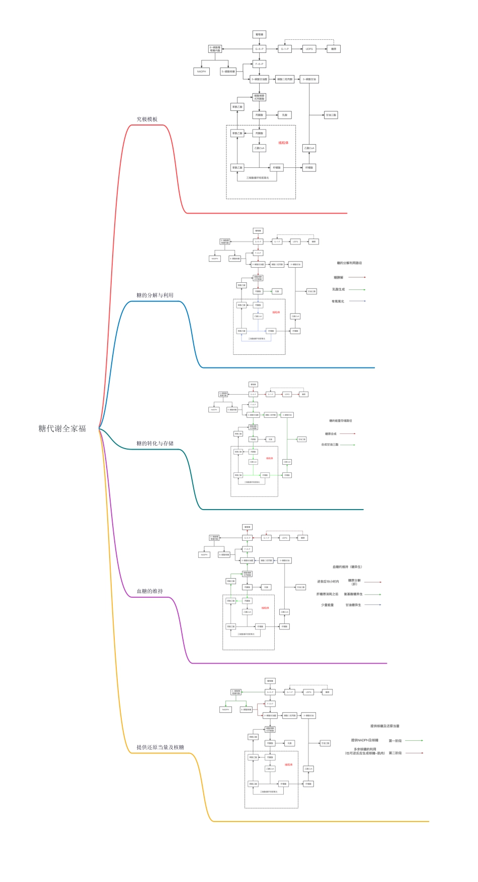 【合集】糖代谢全家福.pdf_第1页