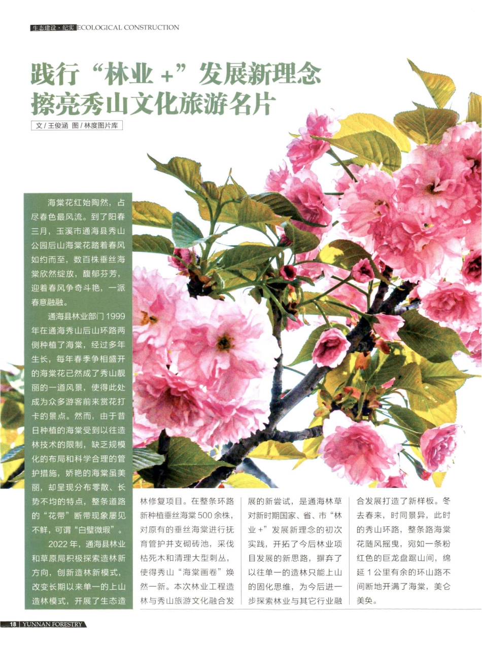践行厅“林业%2B”发展新理念 擦亮秀山文化旅游名片.pdf_第1页