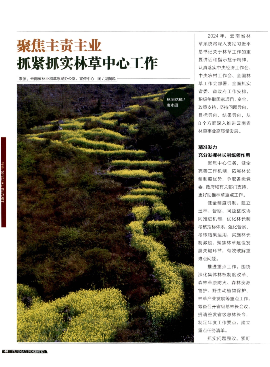 聚焦主责主业 抓紧抓实林草中心工作.pdf_第1页