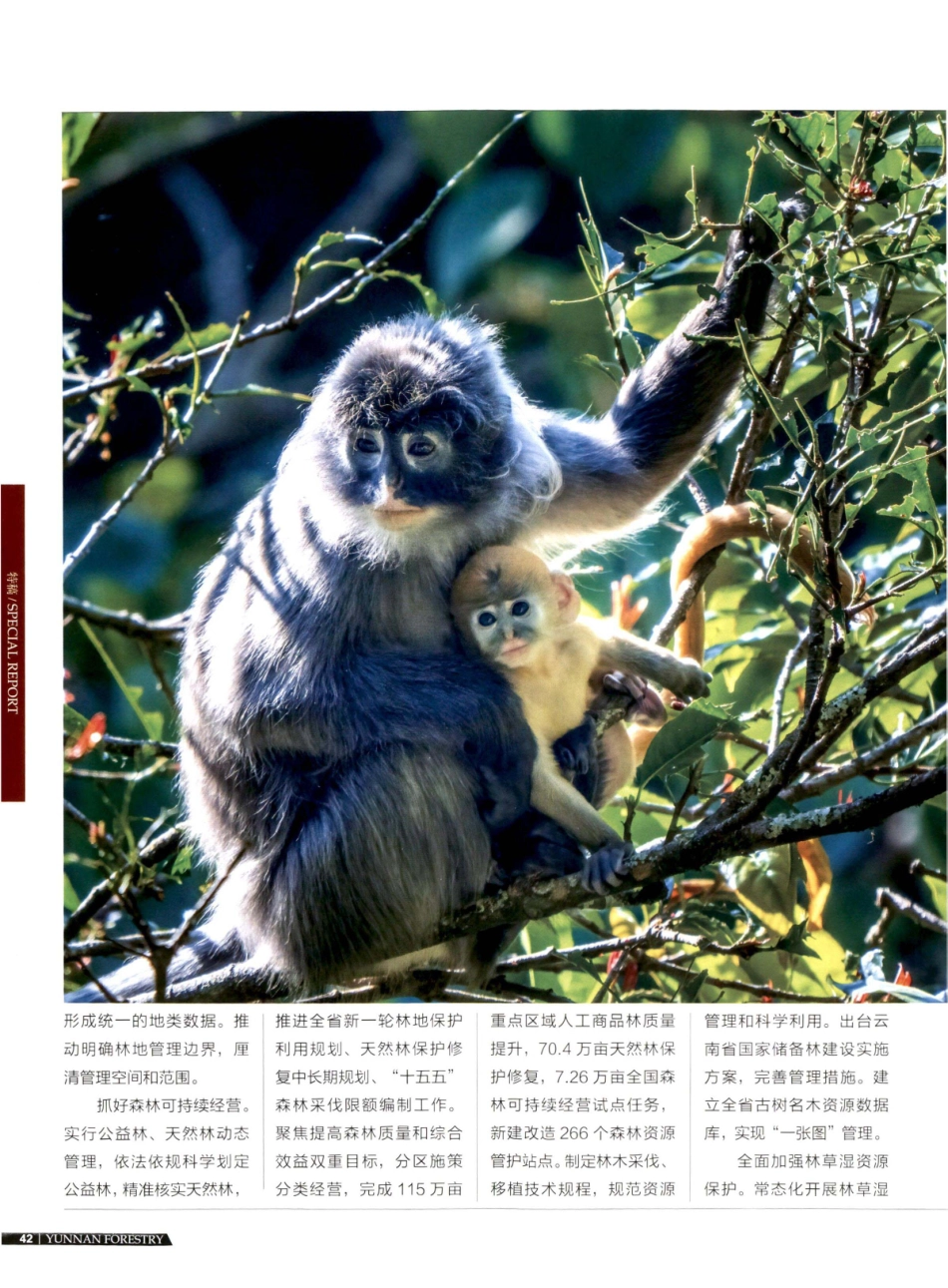 聚焦主责主业 抓紧抓实林草中心工作.pdf_第3页