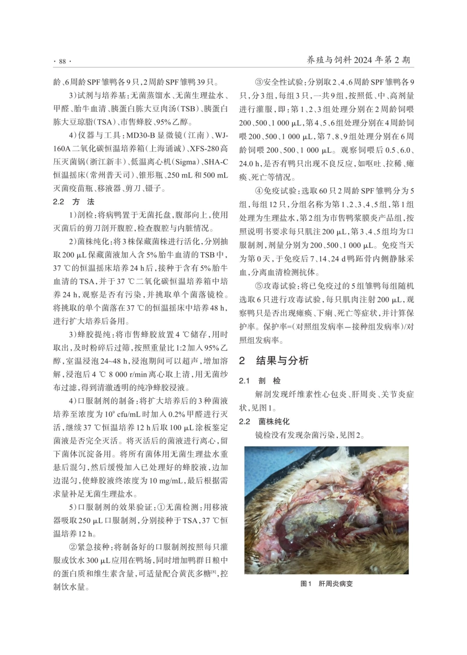 口服制剂防治鸭浆膜炎的临床效果.pdf_第2页