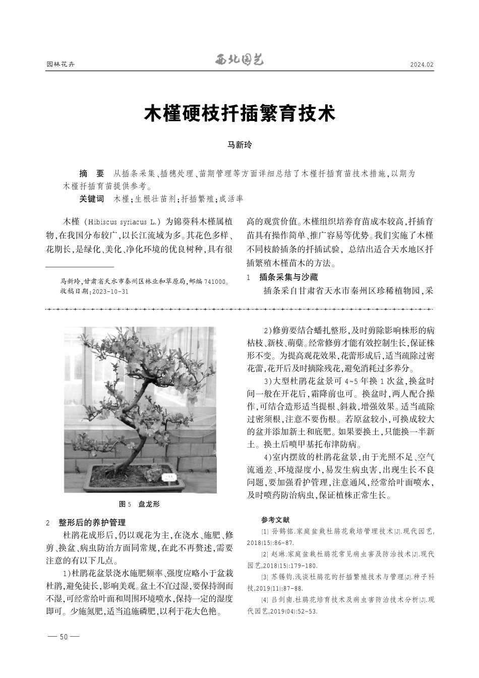盆栽杜鹃花常见株型与整形后的养护要点.pdf_第3页