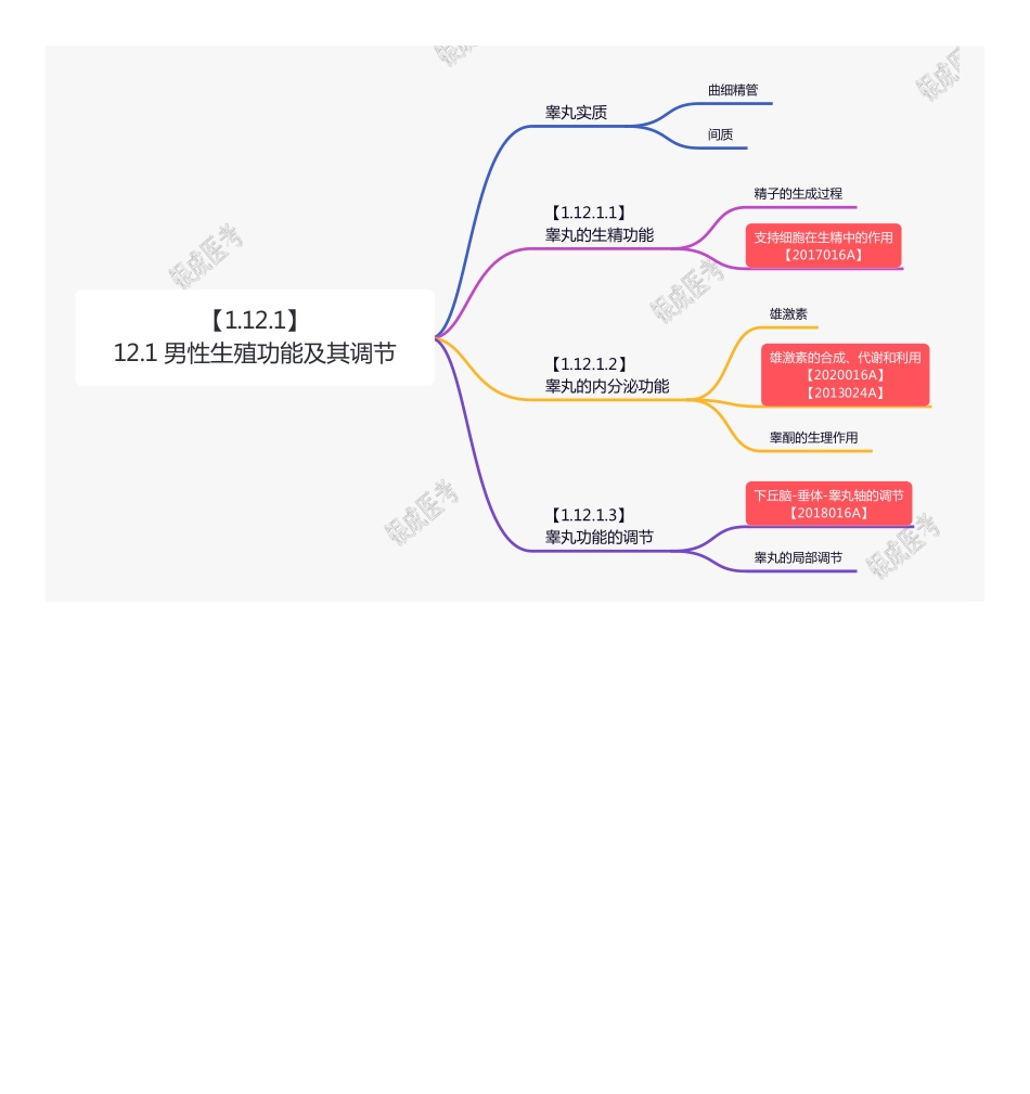 【221118】思维导图-12.1 男性生殖功能及其调节 .pdf_第1页