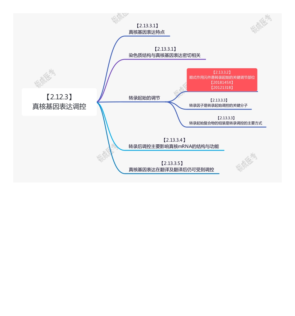 【221207】思维导图-真核基因表达调控 .pdf_第1页