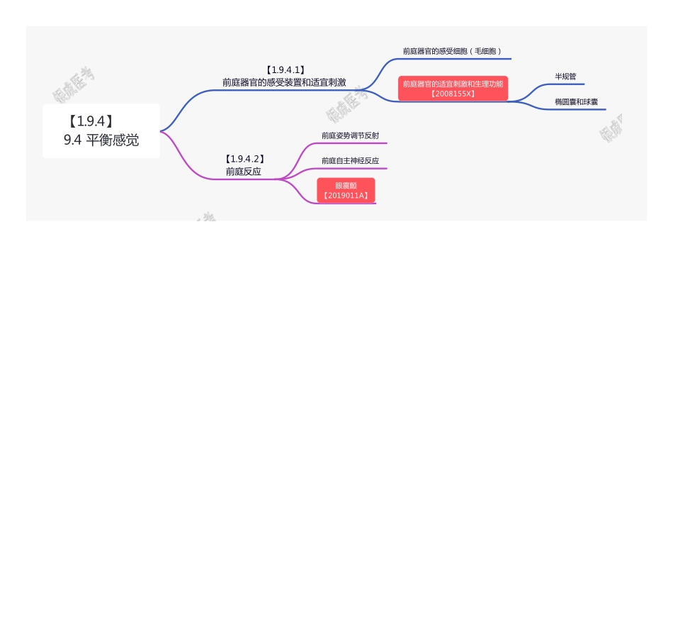 【221110】思维导图-9.4 平衡感觉 .pdf_第1页