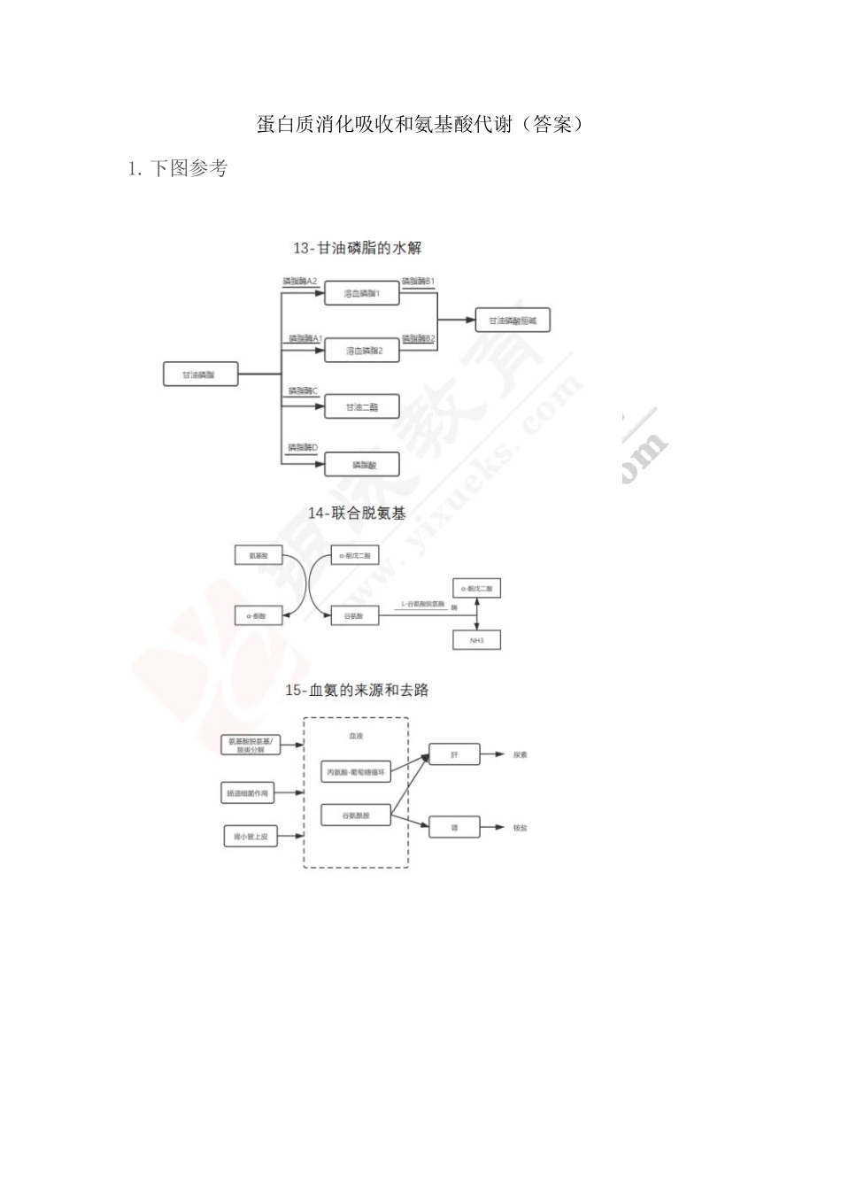 【221129】生物化学第6次带读课作业-答案 .pdf_第1页