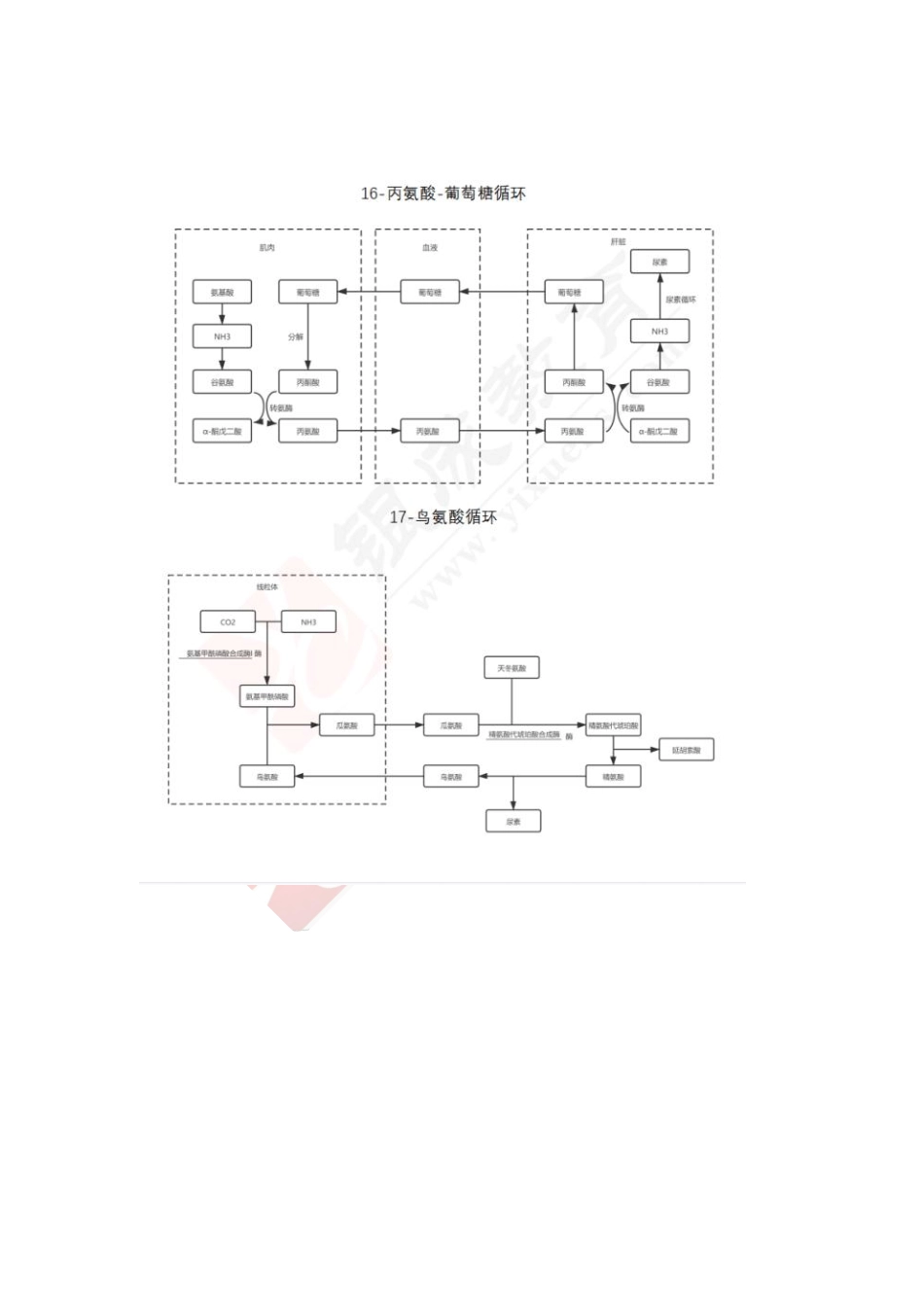 【221129】生物化学第6次带读课作业-答案 .pdf_第2页