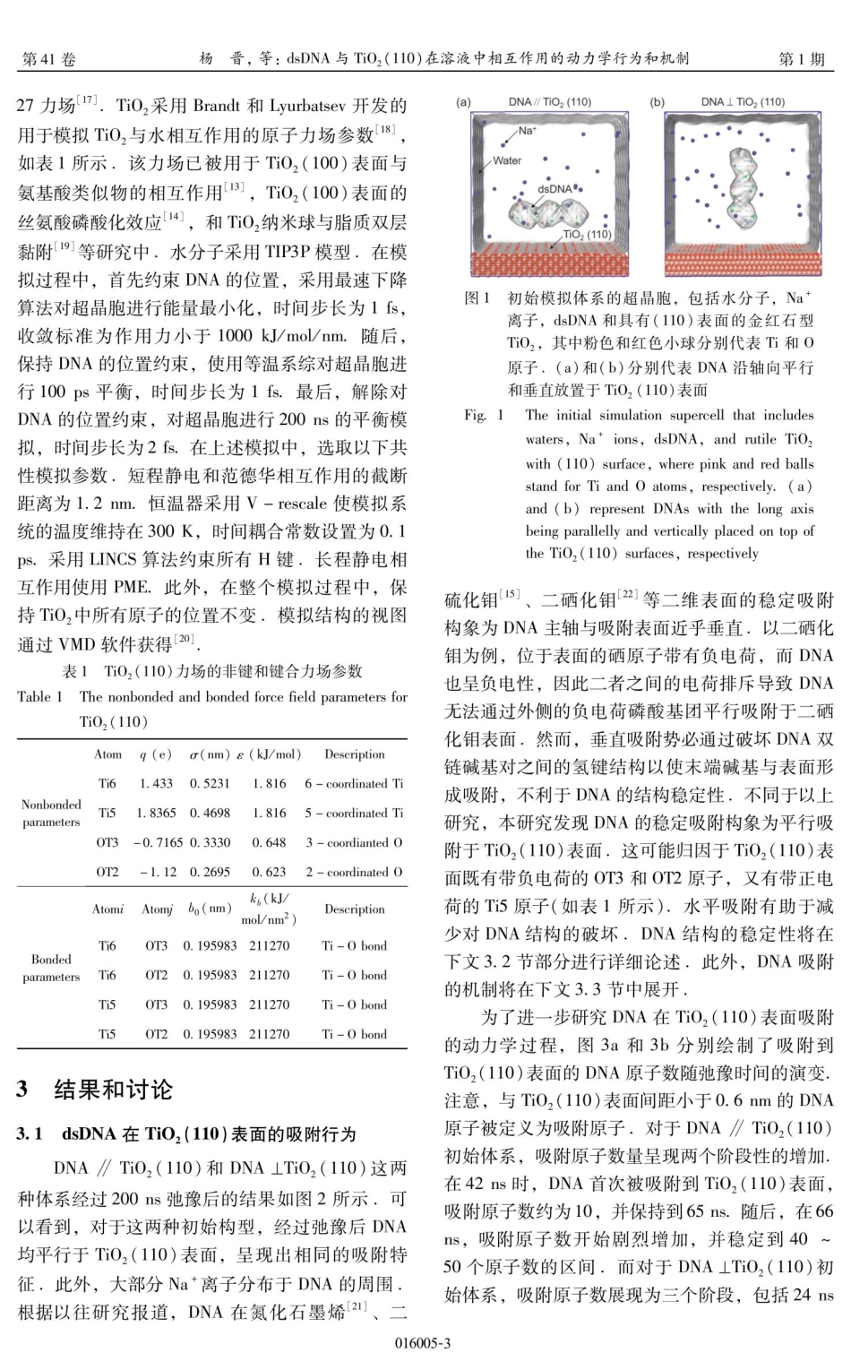 dsDNA与TiO_%282%29%28110%29在溶液中相互作用的动力学行为和机制.pdf_第3页