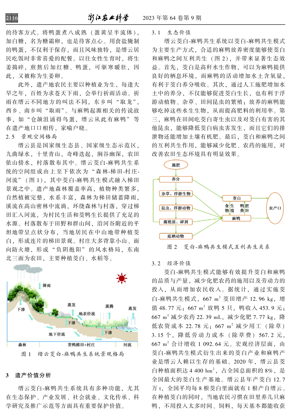缙云菱白-麻鸭共生系统的资源特征与多元价值.pdf_第3页