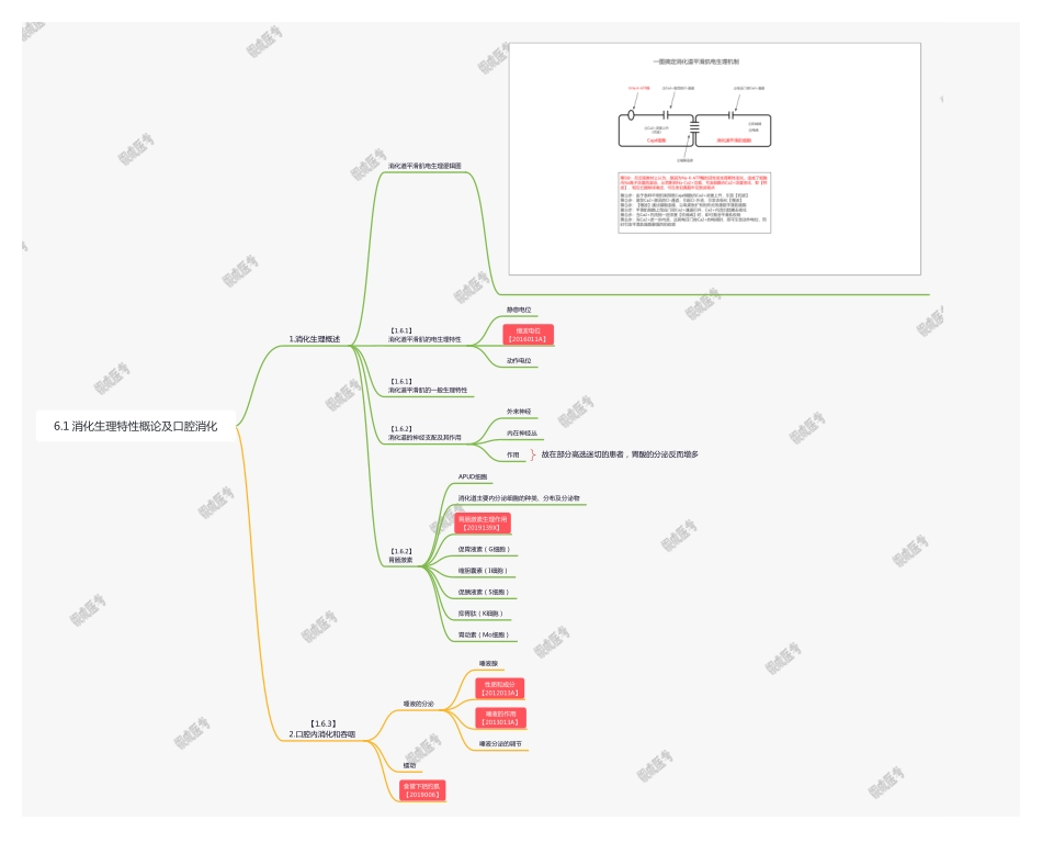 【221103】思维导图-6.1 消化道平滑肌生理特性及口腔消化 .pdf_第1页