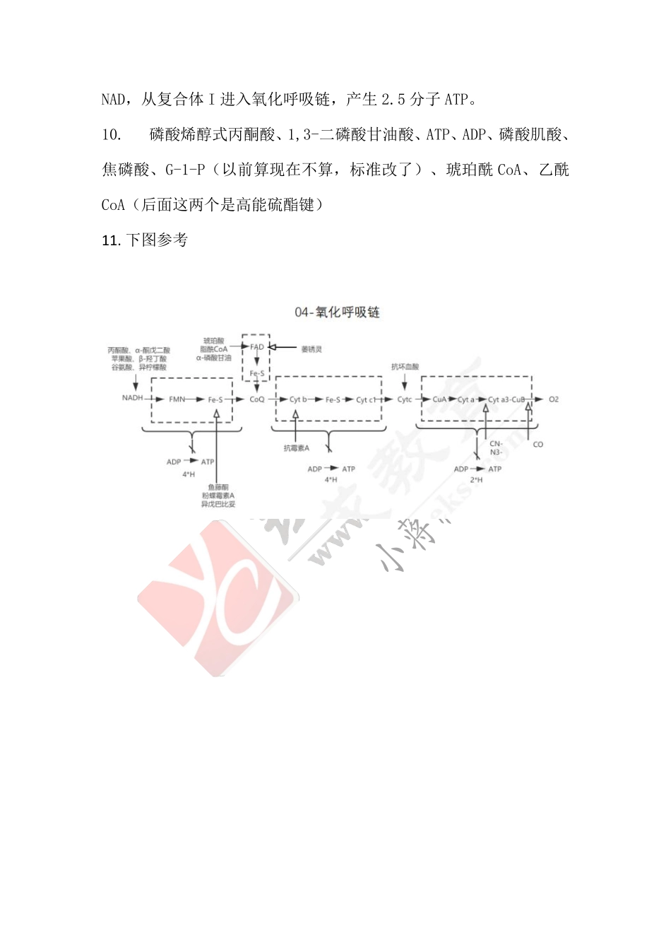 【221126】生物化学第4次带读课作业-答案 .pdf_第2页