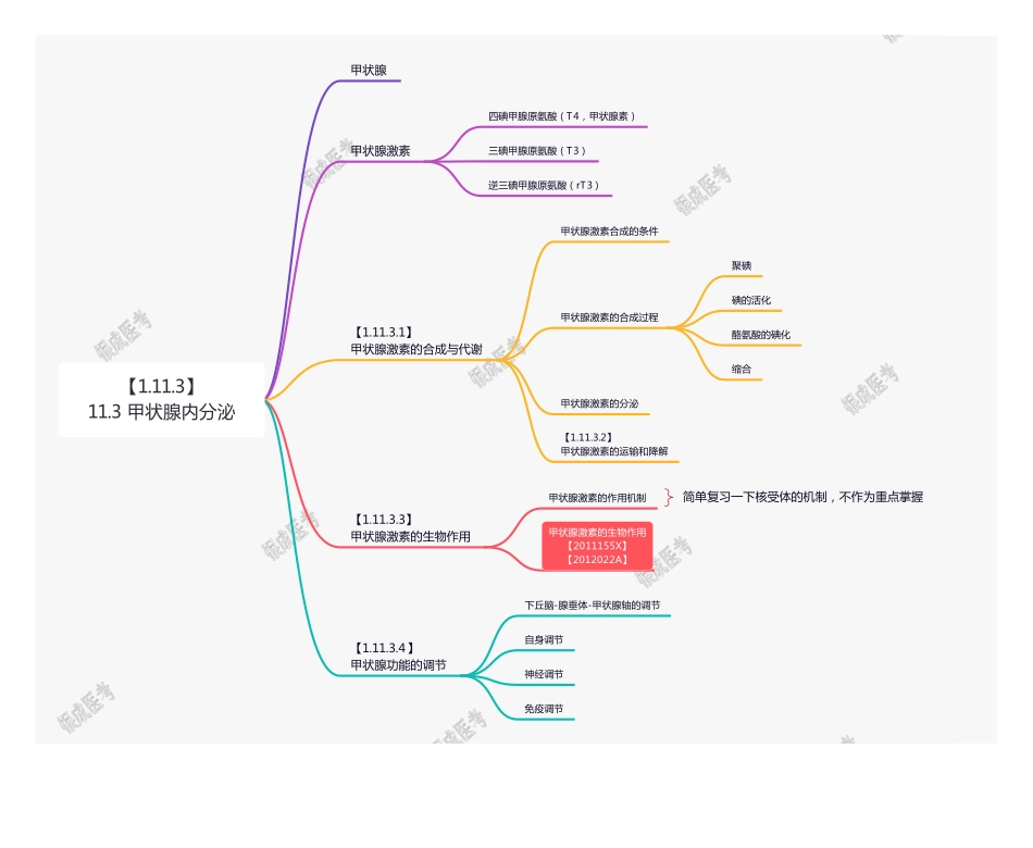 【221116】思维导图-11.3 甲状腺内分泌 .pdf_第1页