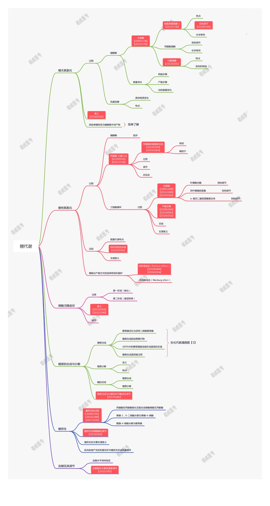 【221124】思维导图-糖代谢 .pdf_第1页