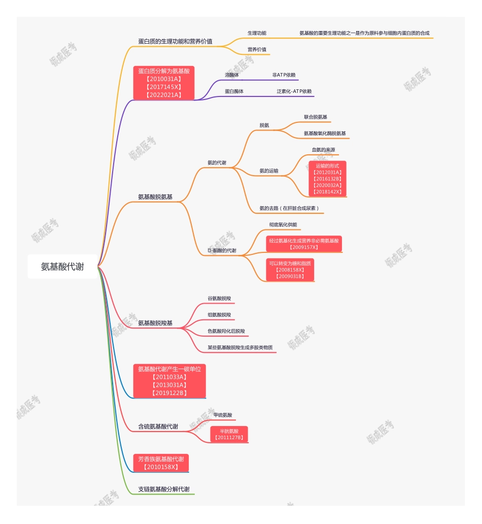 【221128】思维导图-氨基酸代谢 .pdf_第1页