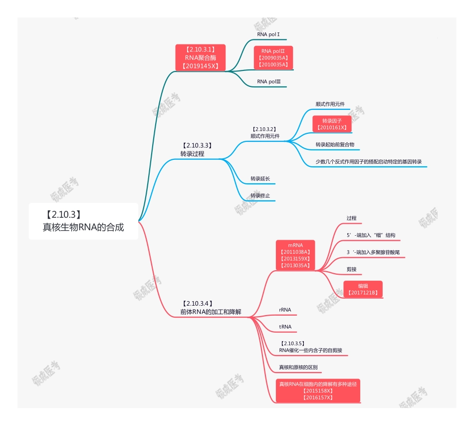 【221204】思维导图-真核生物RNA的合成 .pdf_第1页