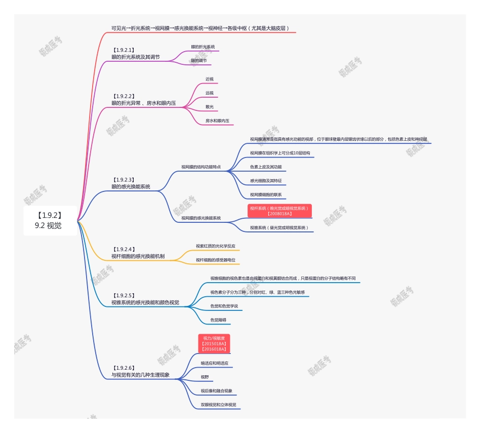 【221110】思维导图-9.2 视觉 .pdf_第1页