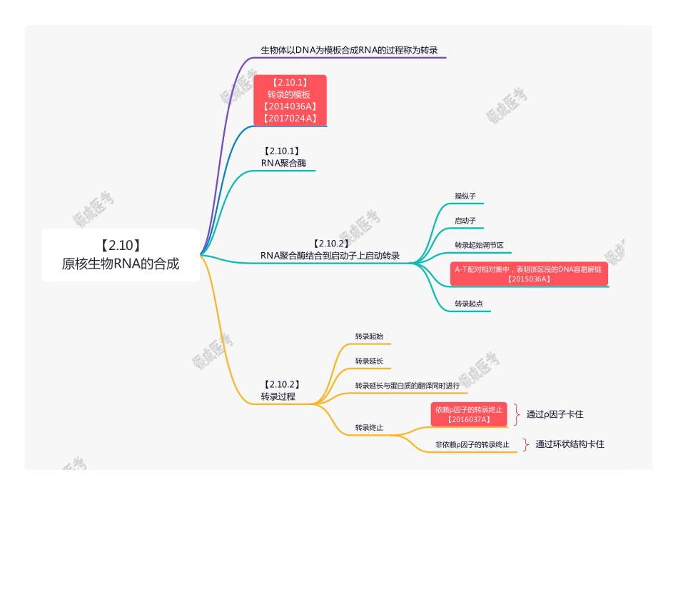 【221204】思维导图-原核生物RNA的合成 .pdf_第1页