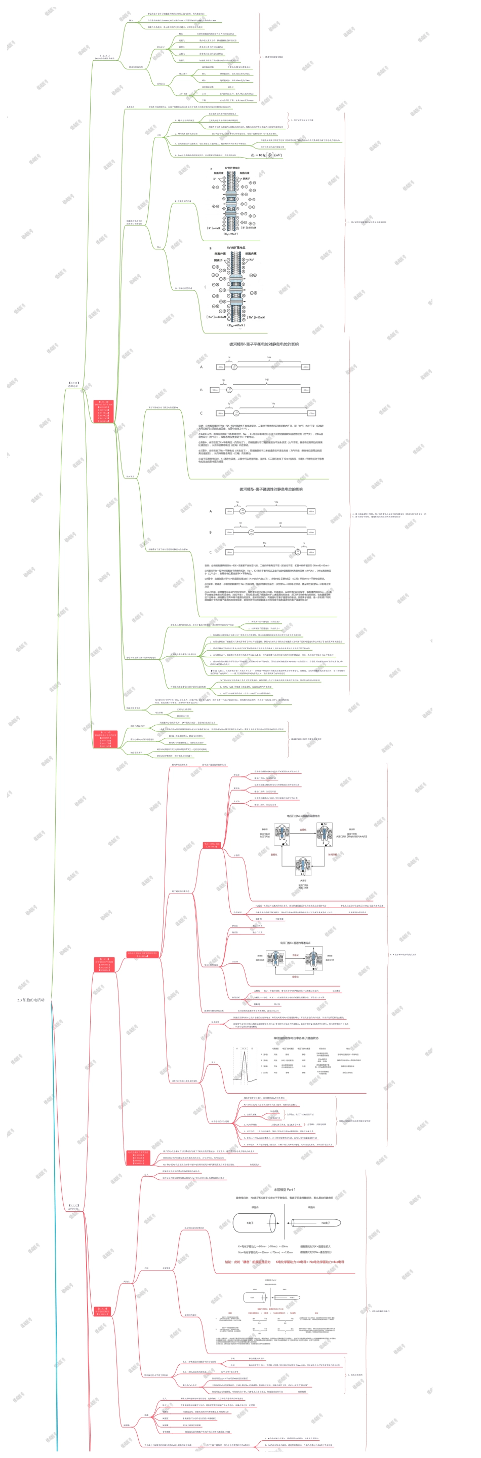 2.3 细胞的电活动.pdf_第1页