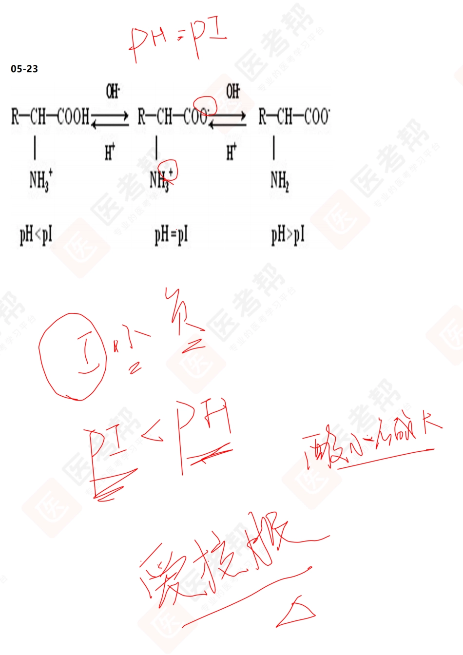 04-08真题带刷.pdf_第3页