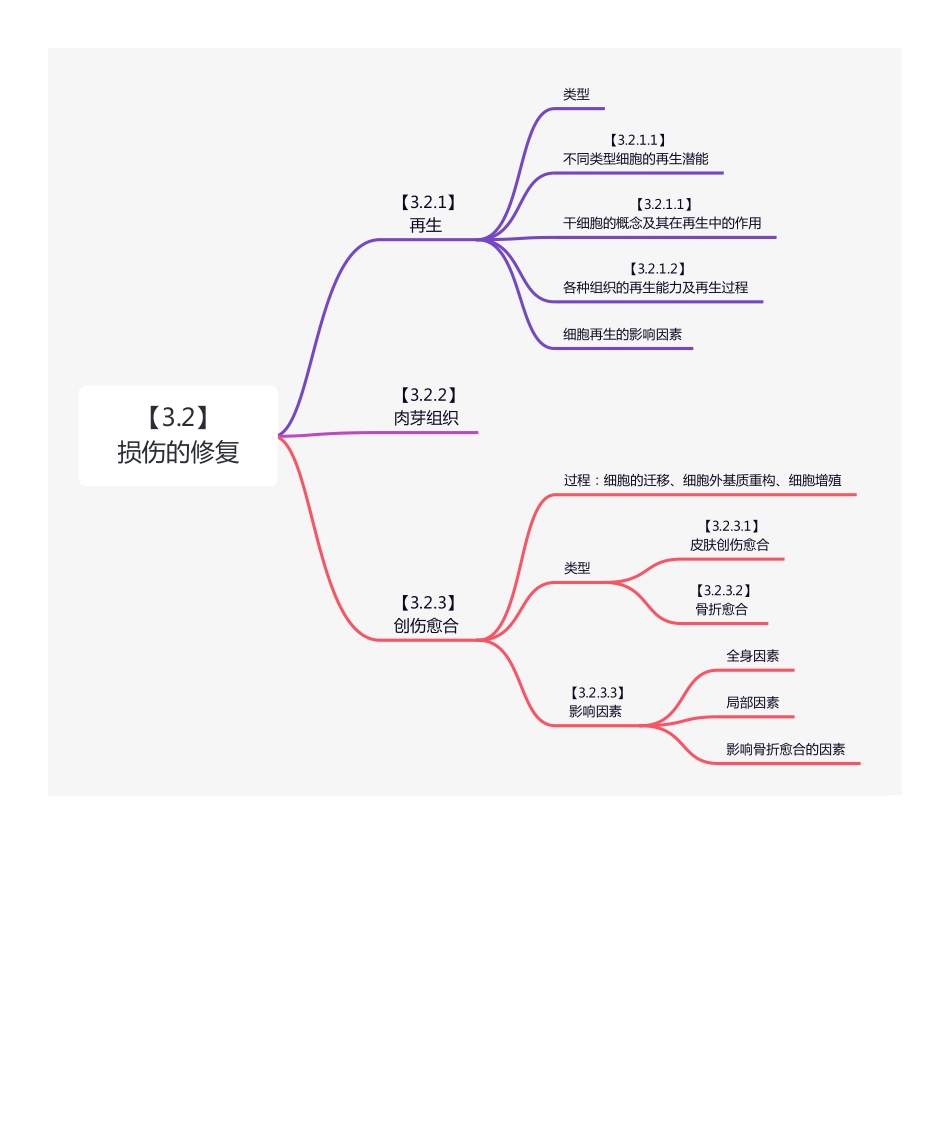 【24考研带学】病理导图+作业+答案（日期排序） .pdf_第2页