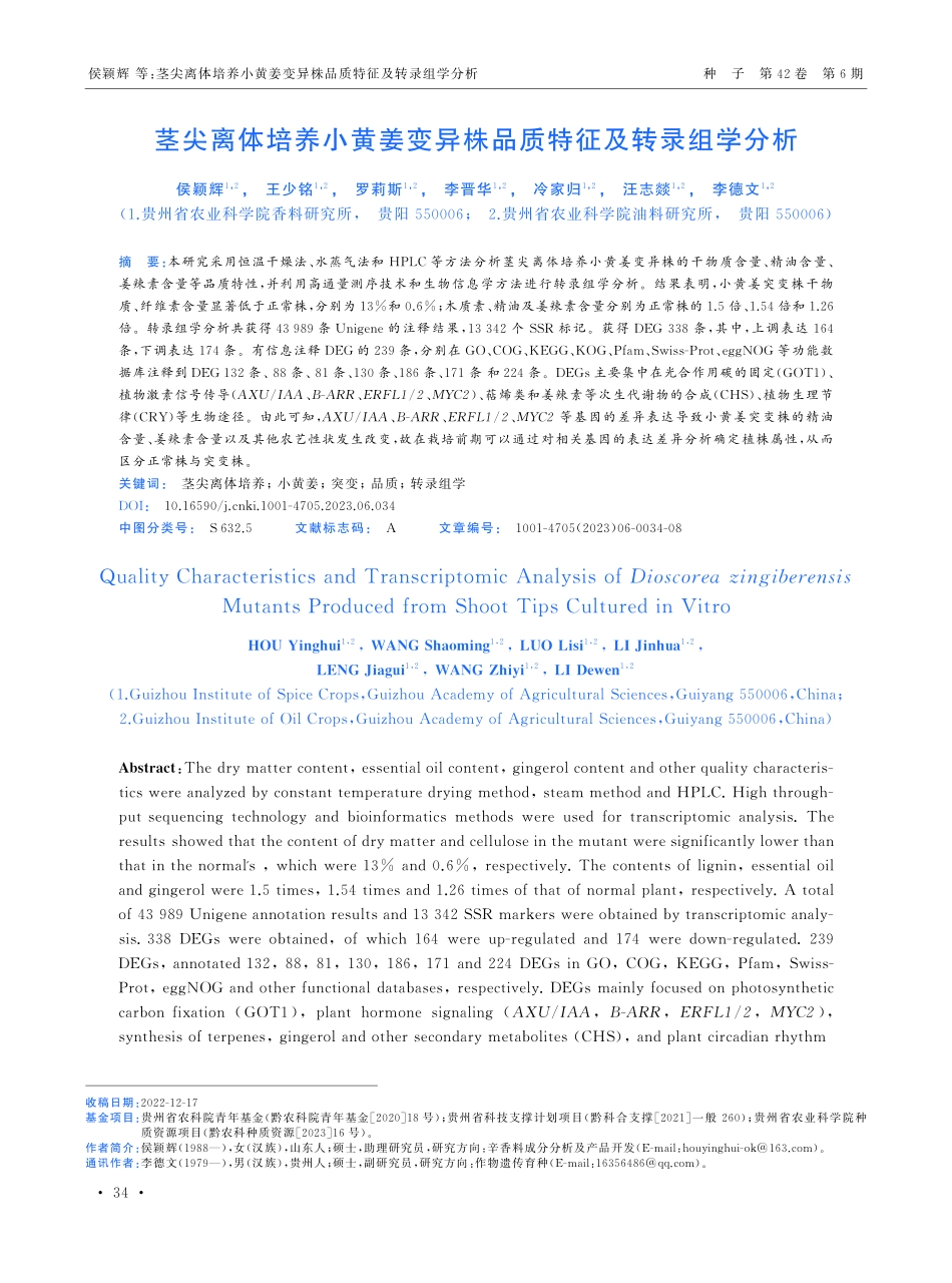 茎尖离体培养小黄姜变异株品质特征及转录组学分析.pdf_第1页