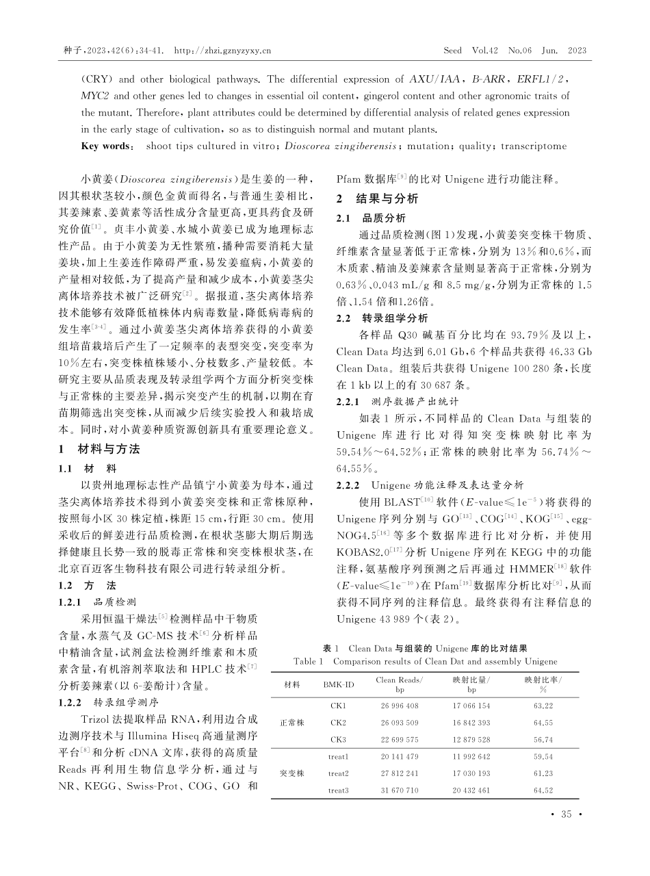 茎尖离体培养小黄姜变异株品质特征及转录组学分析.pdf_第2页