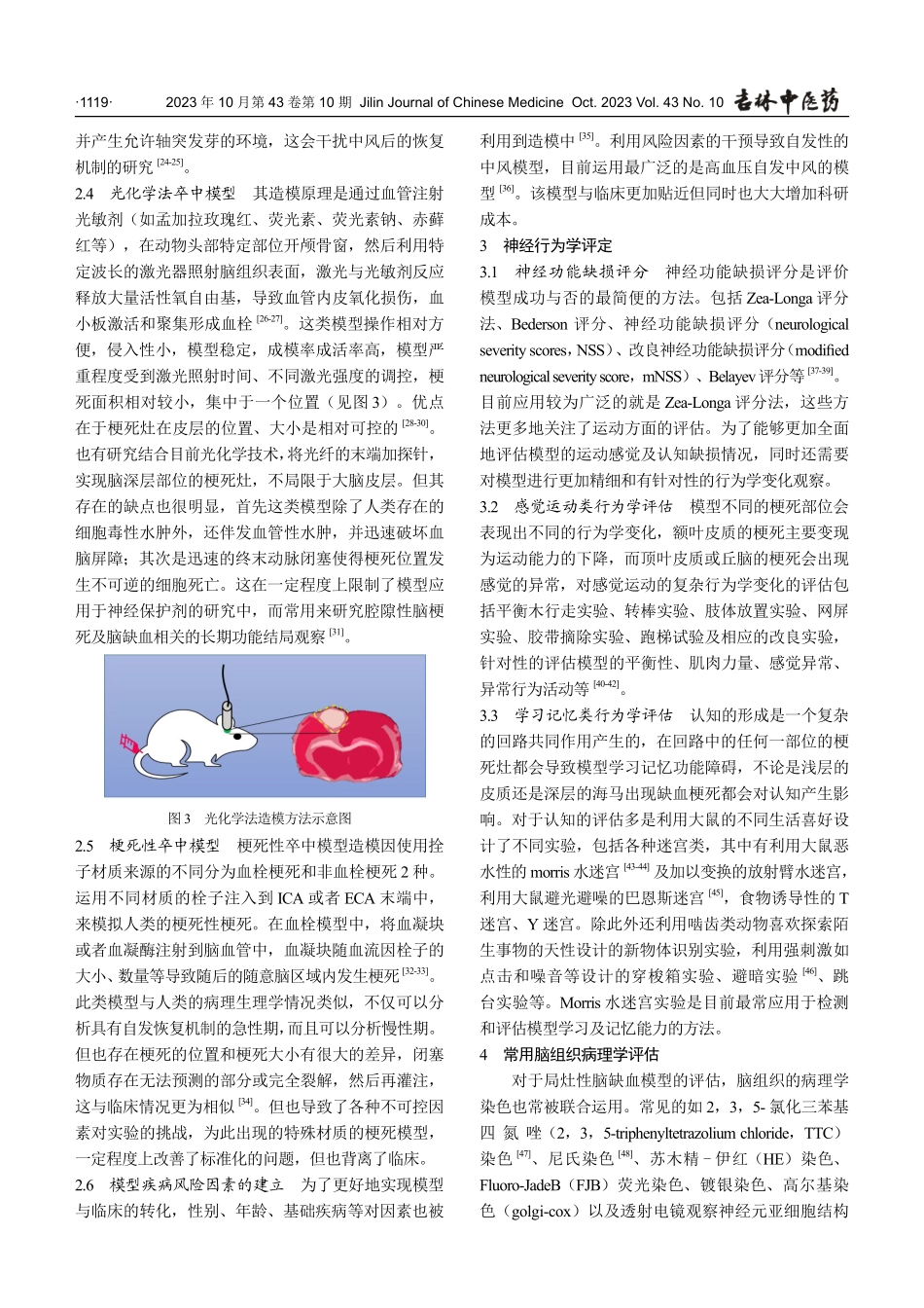 局灶性脑缺血动物模型建立及评价概况.pdf_第3页