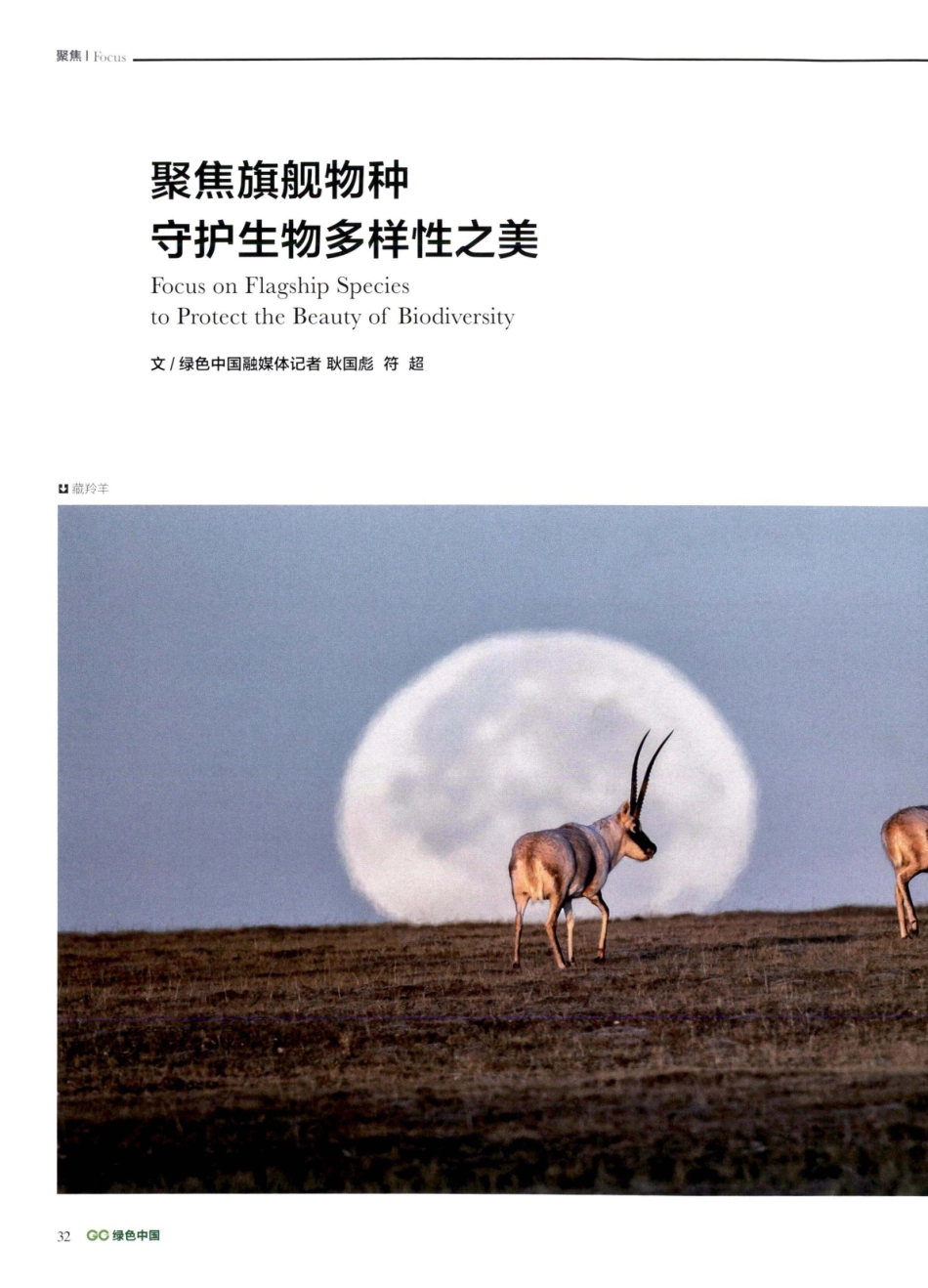 聚焦旗舰物种守护生物多样性之美.pdf_第1页