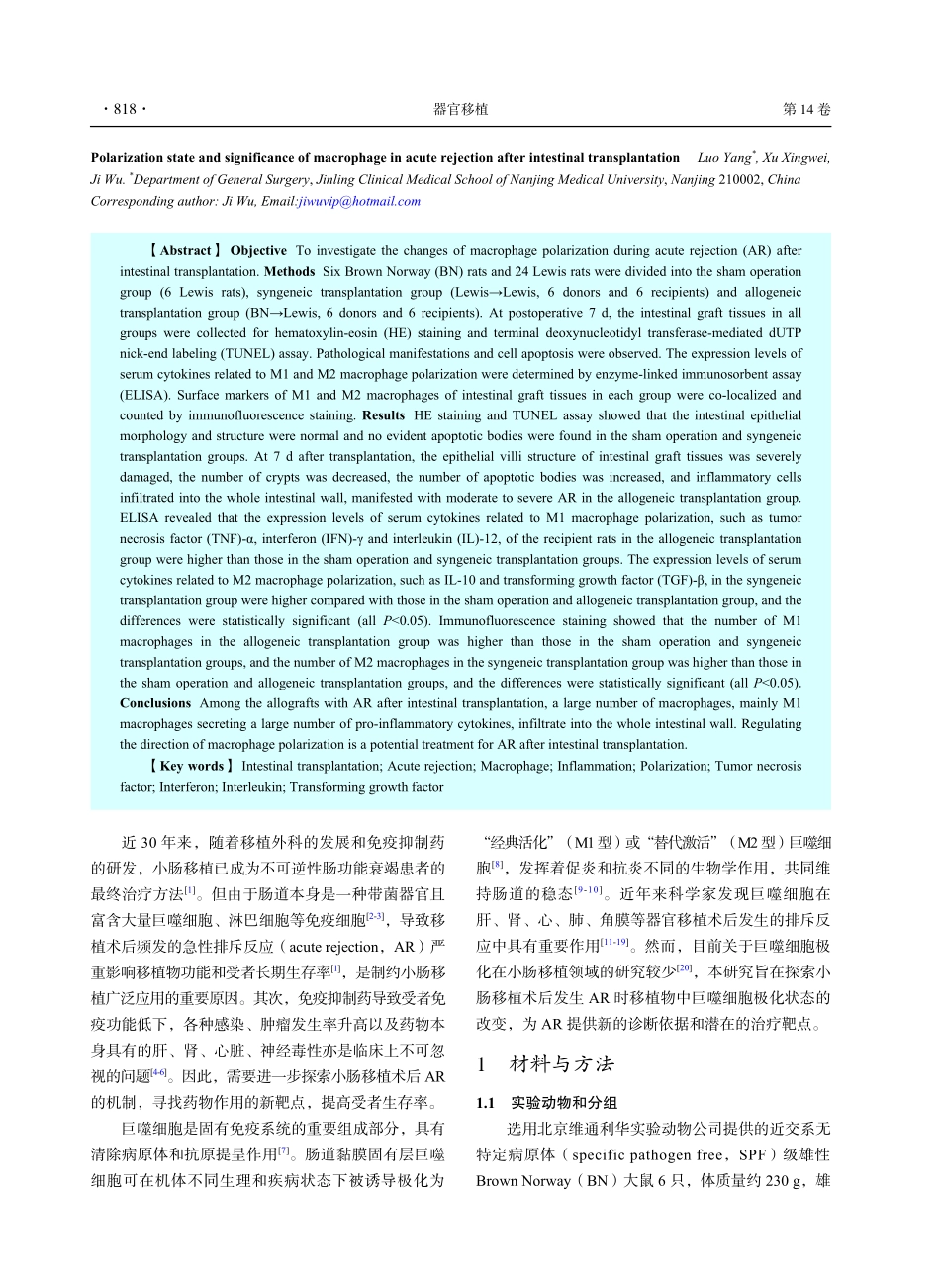 巨噬细胞在小肠移植急性排斥反应期的极化状态及意义.pdf_第2页