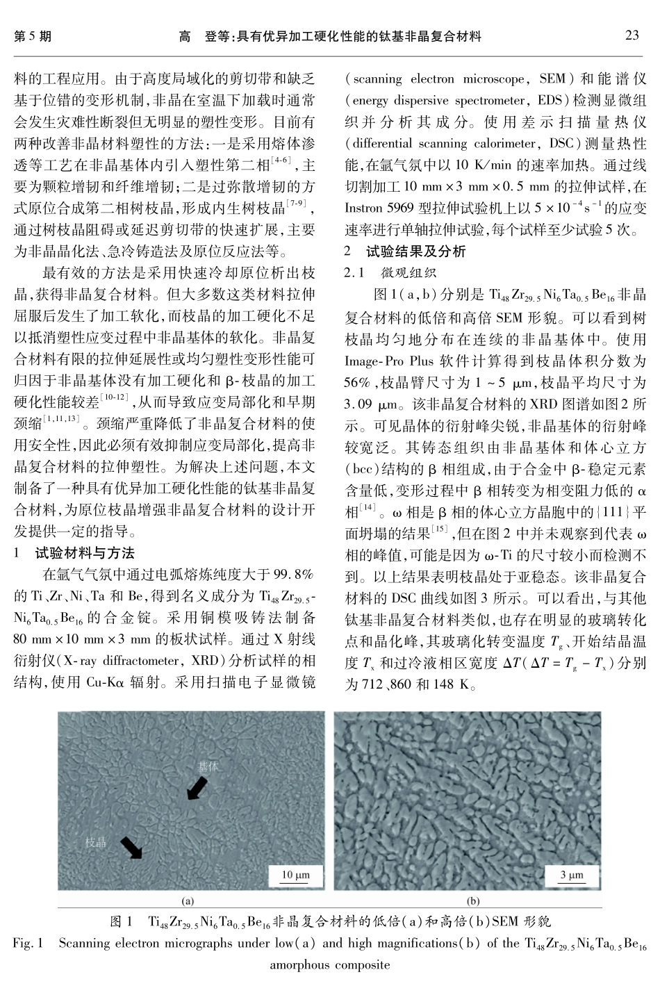 具有优异加工硬化性能的钛基非晶复合材料.pdf_第2页