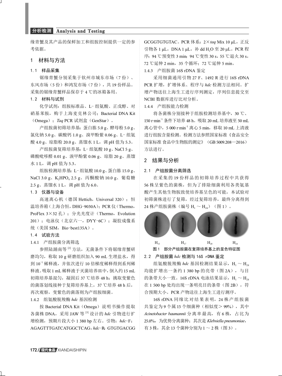 锯缘青蟹产组胺菌的分离与鉴定.pdf_第2页