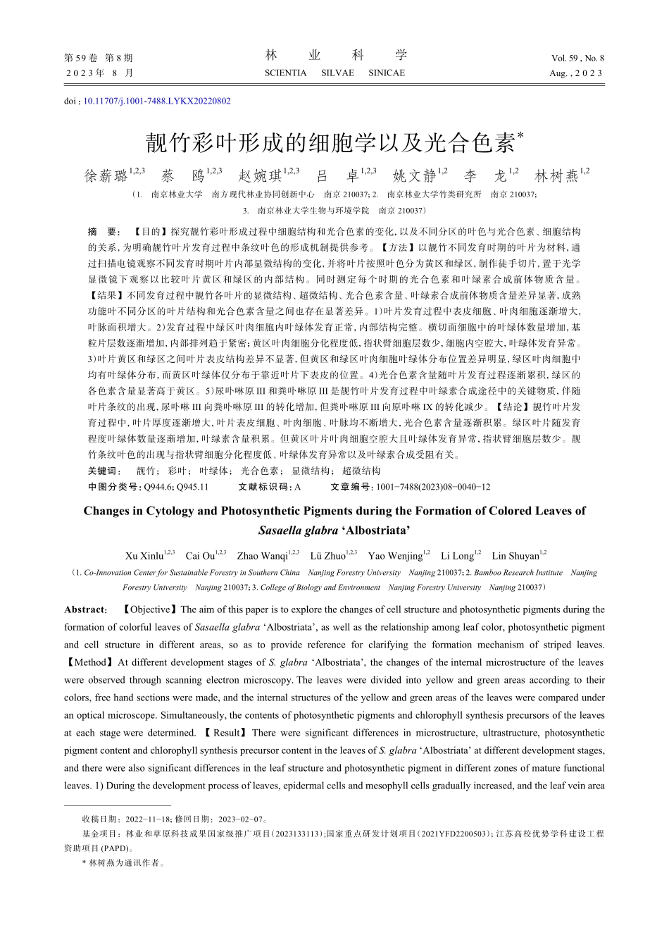 靓竹彩叶形成的细胞学以及光合色素.pdf_第1页