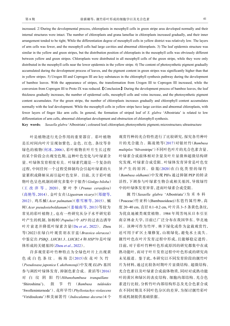 靓竹彩叶形成的细胞学以及光合色素.pdf_第2页