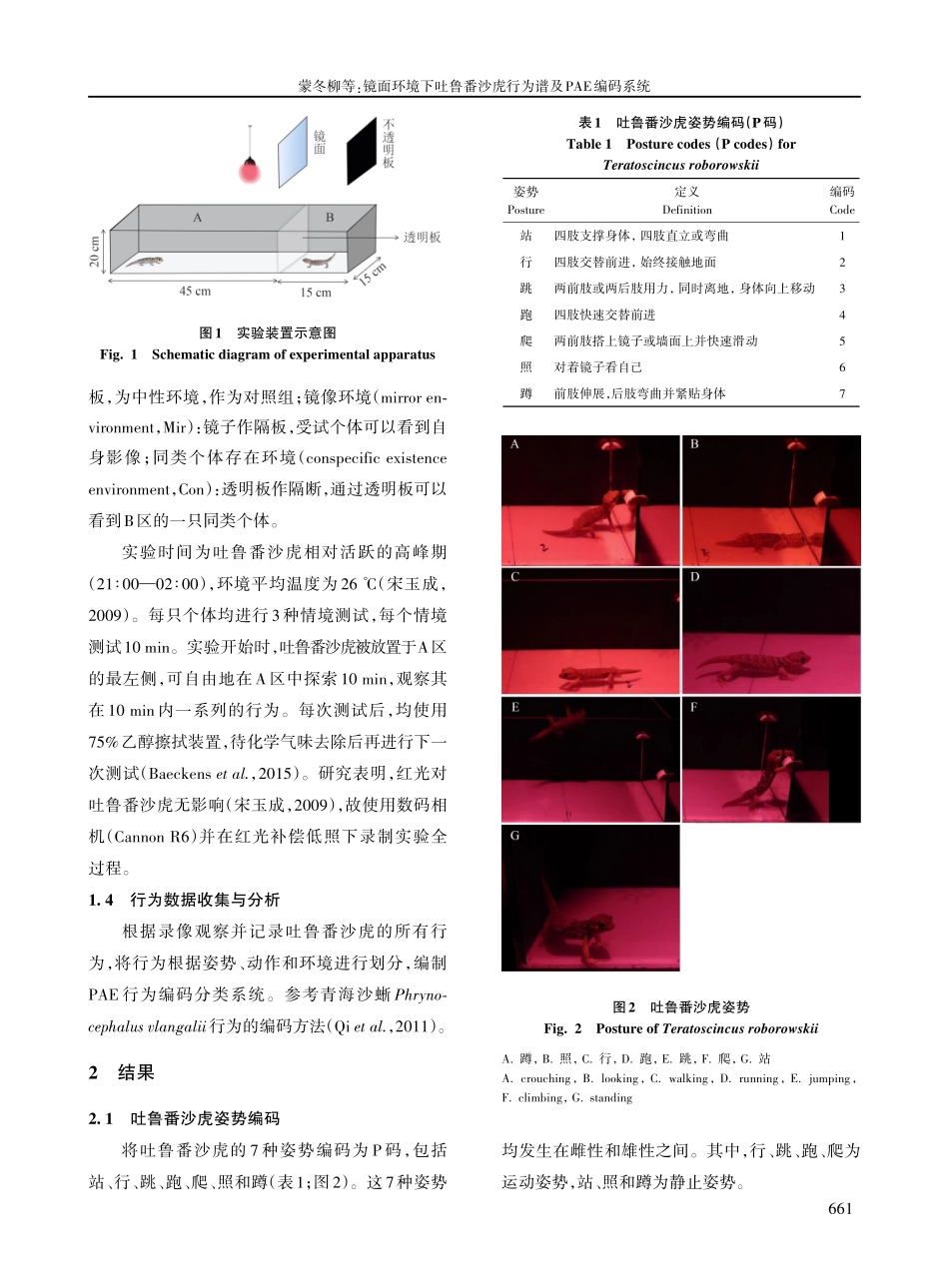 镜面环境下吐鲁番沙虎行为谱及PAE编码系统.pdf_第3页