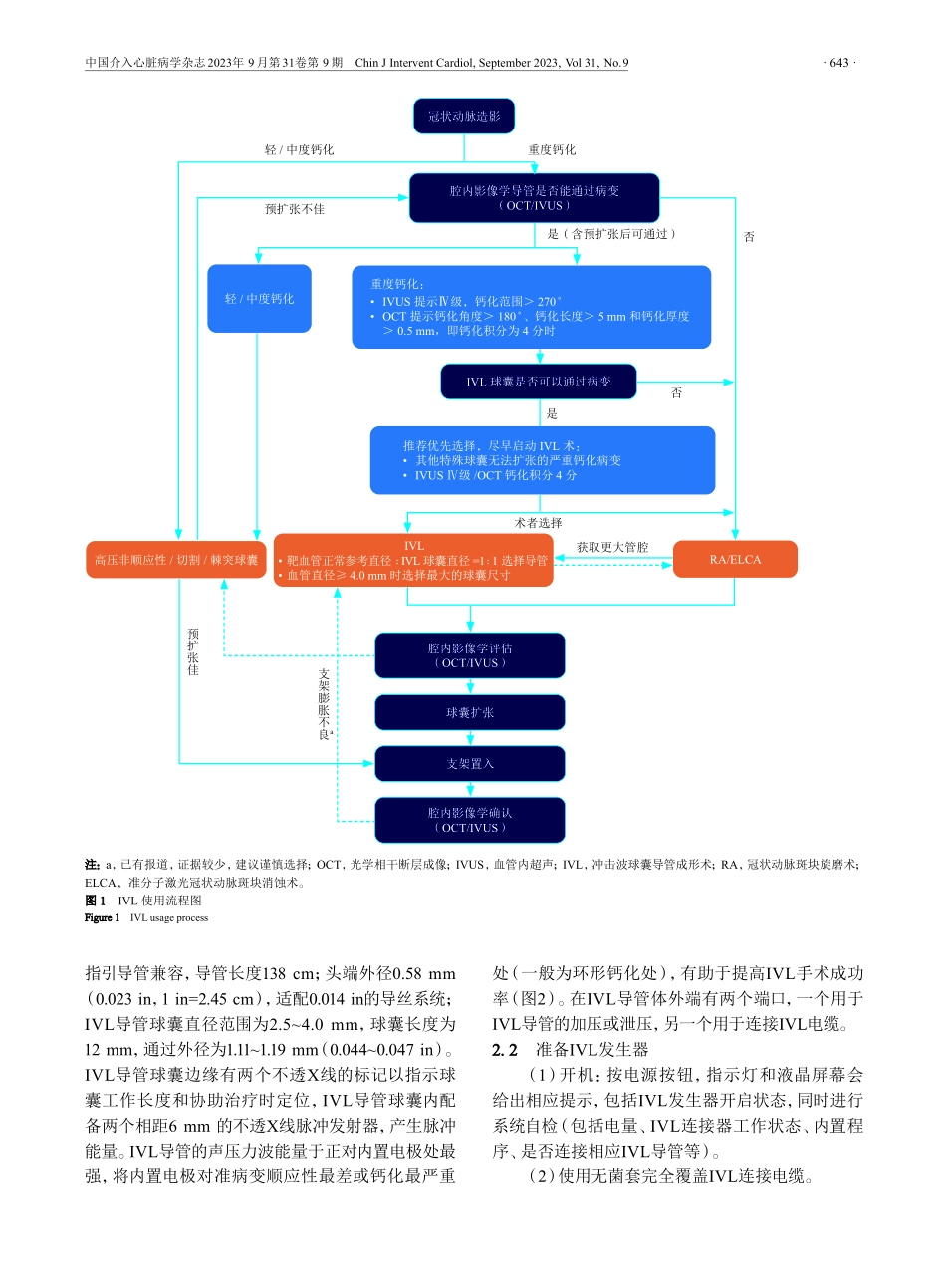 经皮冠状动脉腔内冲击波球囊导管成形术临床应用中国专家建议.pdf_第3页