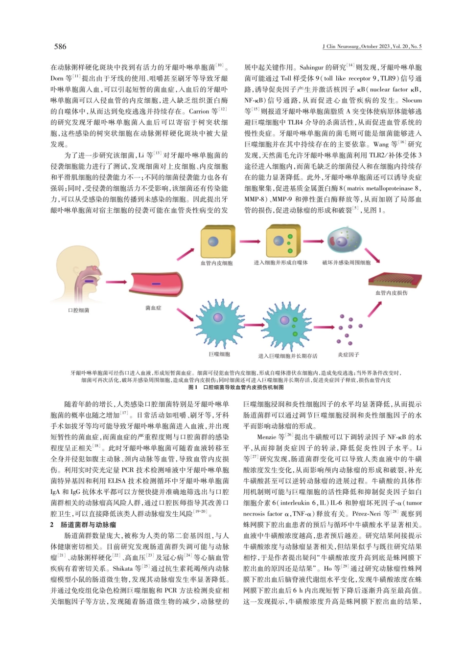 口腔菌群和肠道菌群对颅内动脉瘤的影响.pdf_第2页
