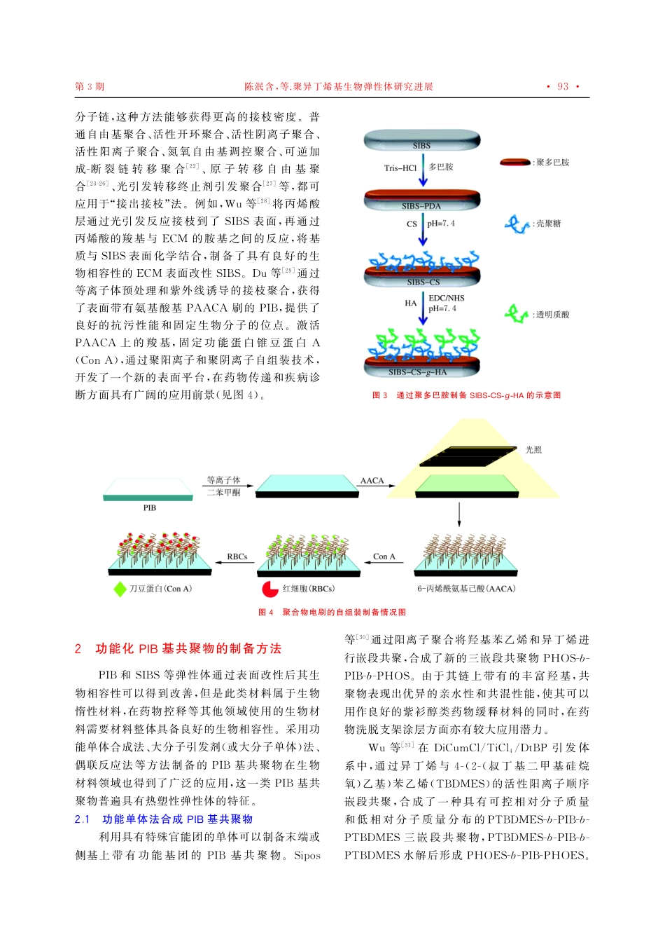 聚异丁烯基生物弹性体研究进展.pdf_第3页