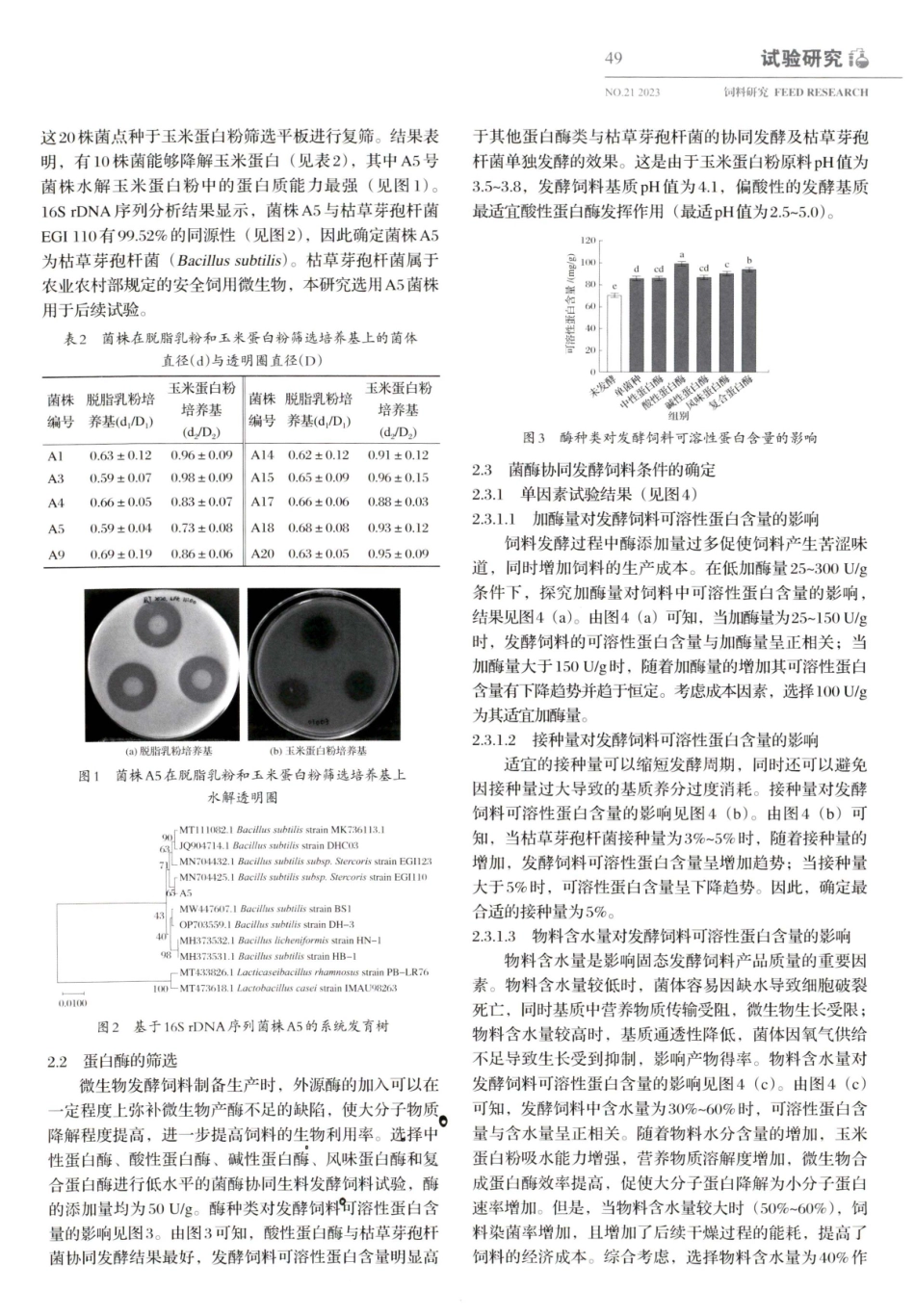 菌酶协同发酵玉米蛋白粉制备高可溶性蛋白饲料的研究.pdf_第3页