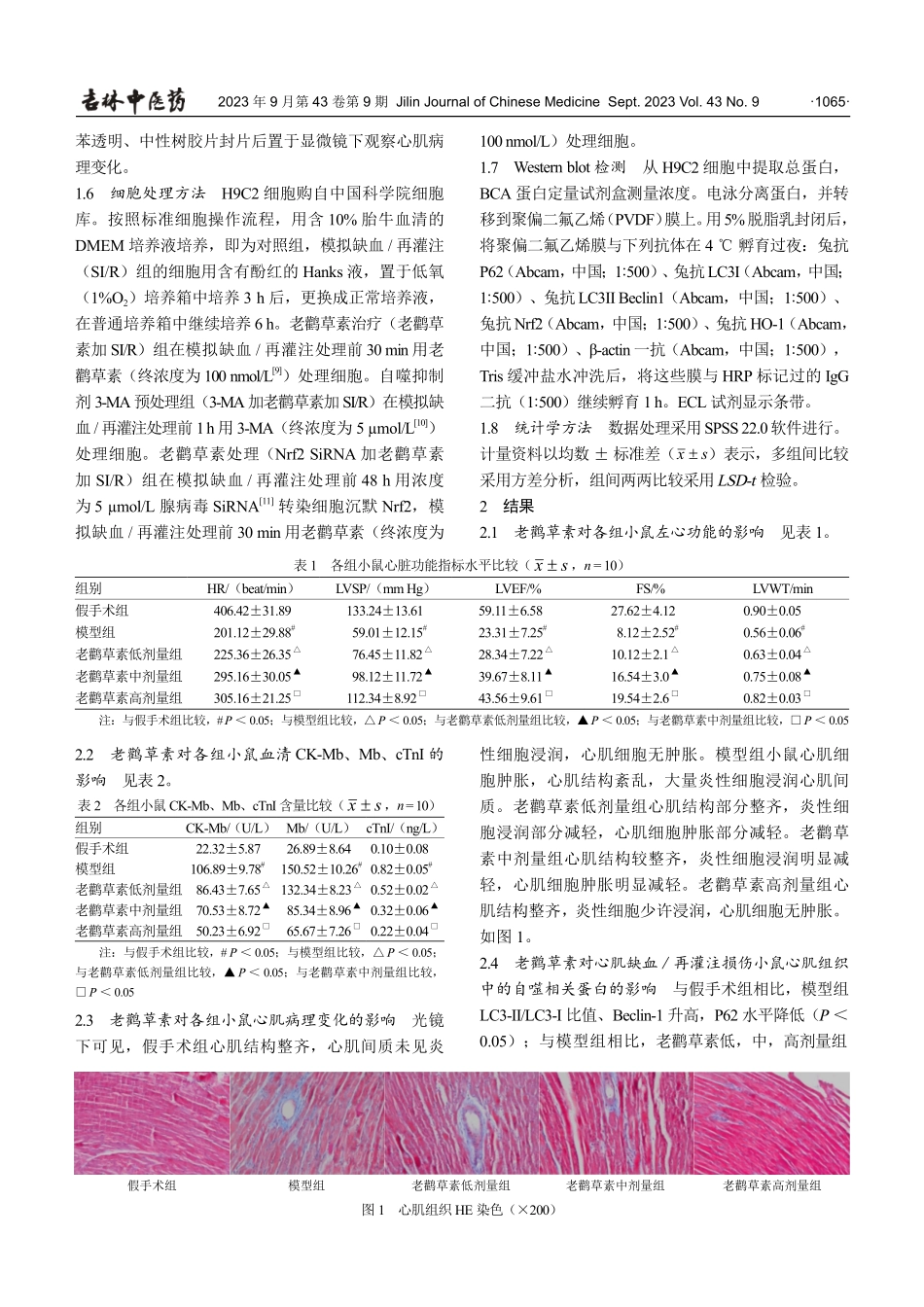 老鹳草素对大鼠心肌缺血再灌注损伤的作用及其机制.pdf_第3页