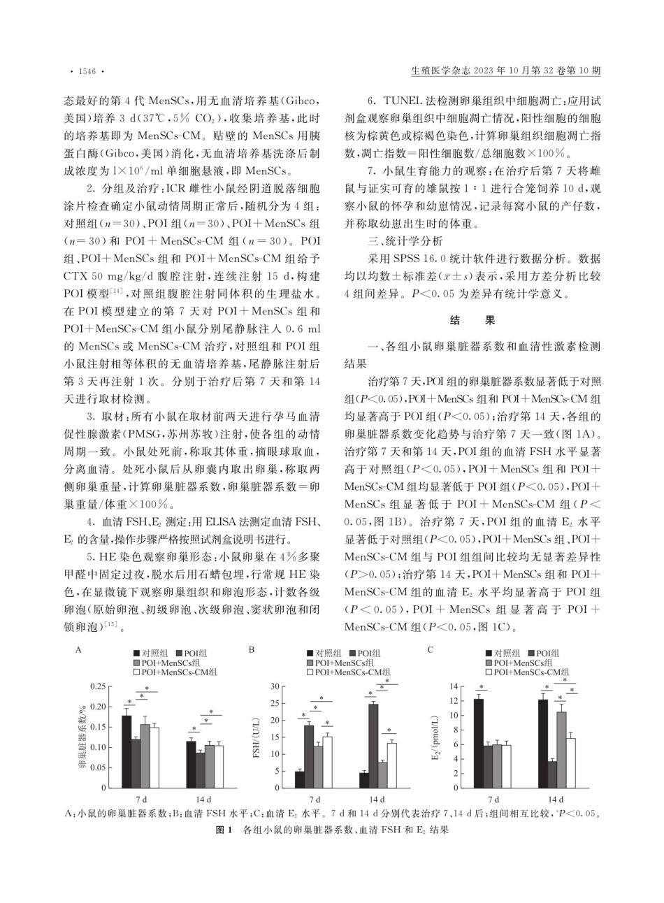 经血间充质干细胞及其培养液对化疗致早发性卵巢功能不全小鼠的治疗作用.pdf_第3页