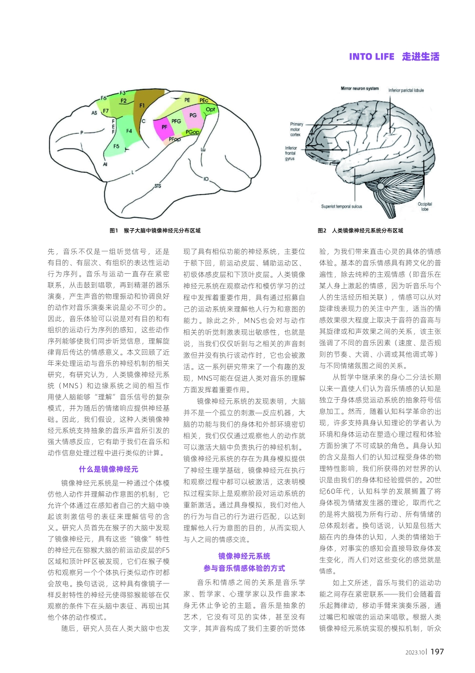 镜像神经元系统在音乐情感交流中的作用.pdf_第2页
