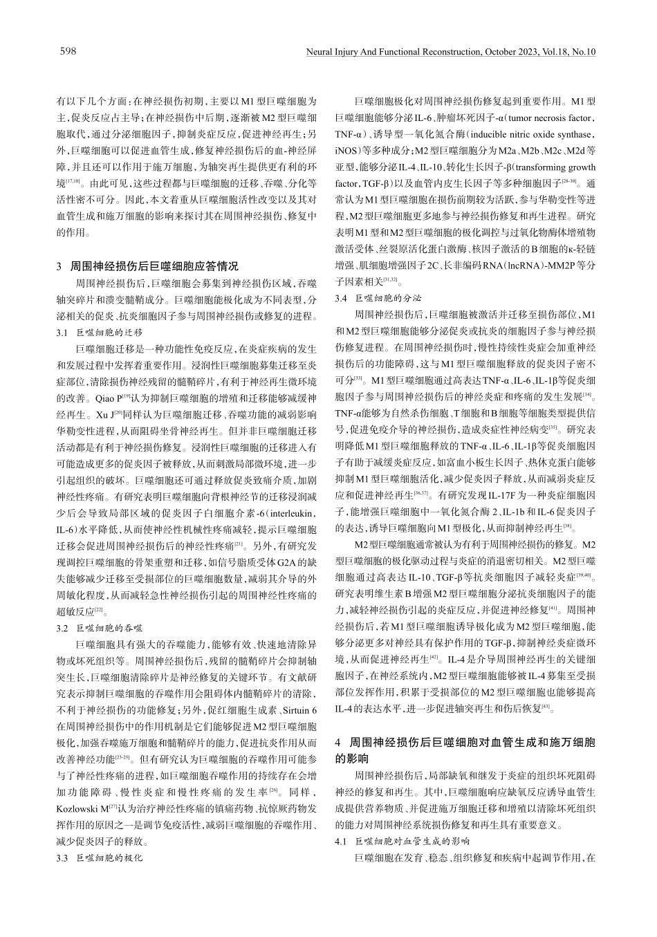 巨噬细胞在周围神经损伤中的作用研究进展.pdf_第2页