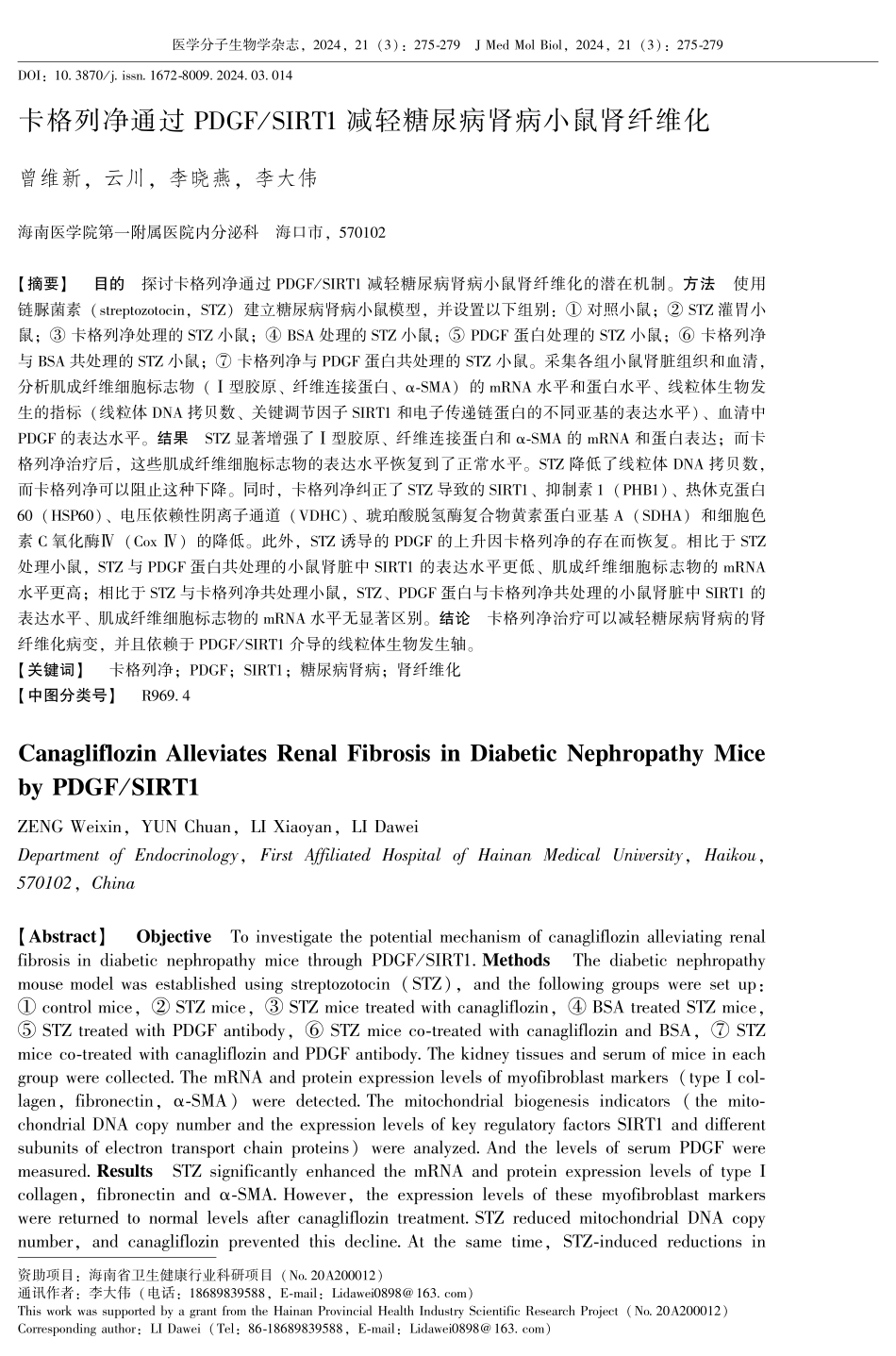 卡格列净通过PDGF_SIRT1减轻糖尿病肾病小鼠肾纤维化.pdf_第1页