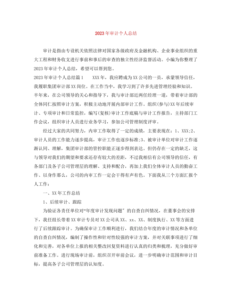 2023年审计个人总结2范文.docx_第1页
