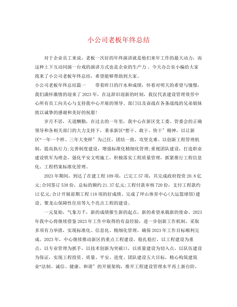 2023年小公司老板终总结范文.docx_第1页