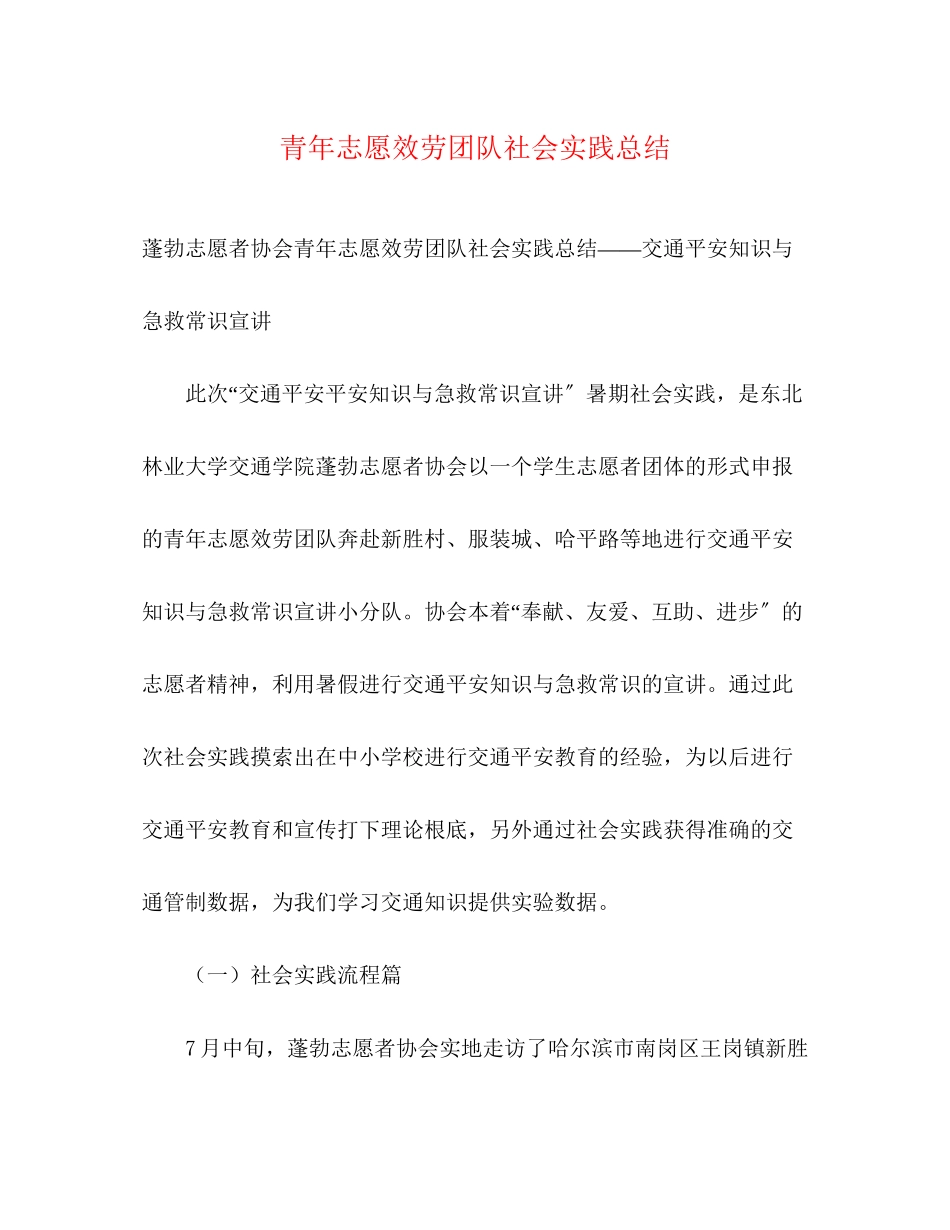 2023年青志愿服务团队社会实践总结范文.docx_第1页