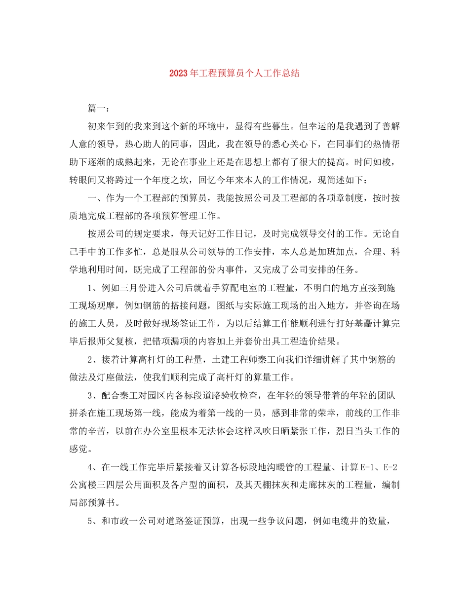 2023年项目预算员个人工作总结范文.docx_第1页