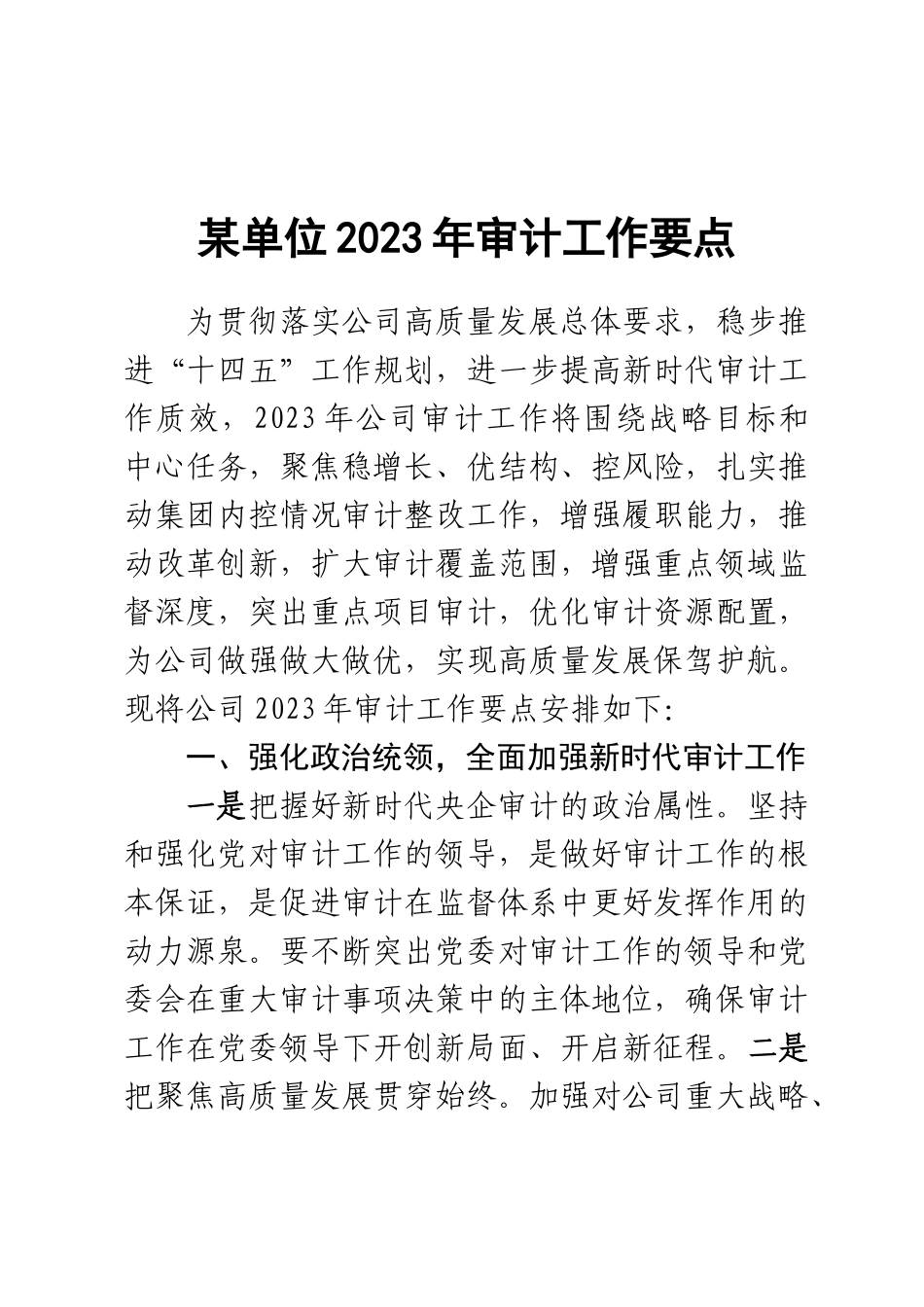 某单位2023年审计工作要点范文 .docx_第1页
