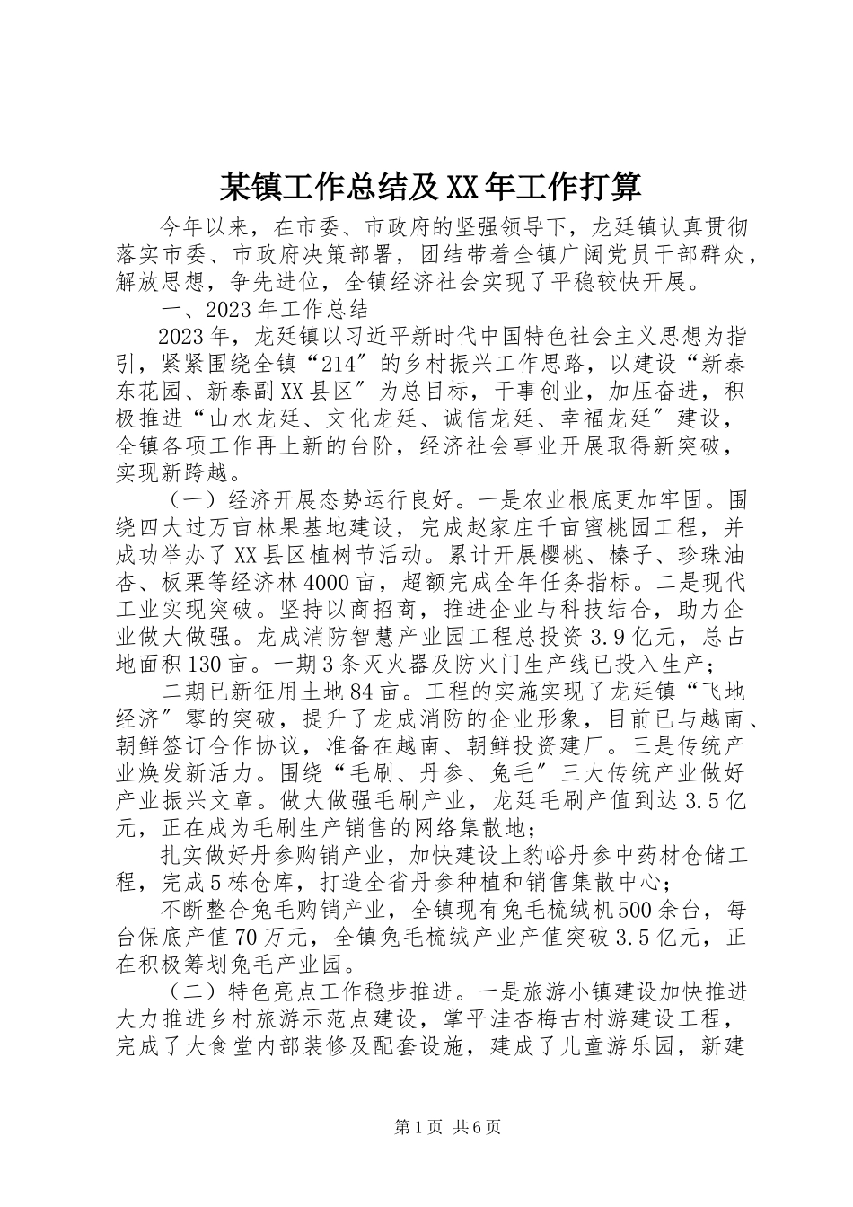 2023年xx镇工作总结及工作打算.docx_第1页